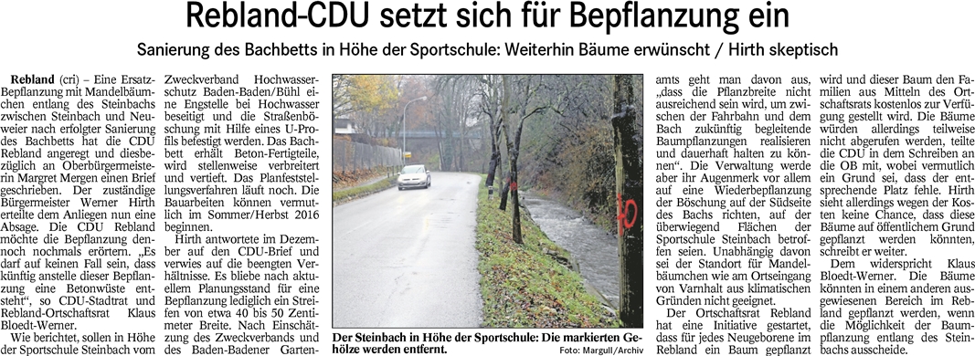 BT 20.01.16 CDU fordert Bepflanzung